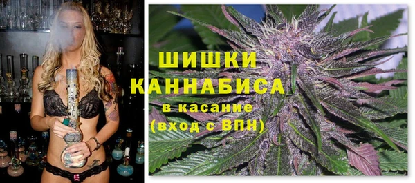 ешки Алзамай