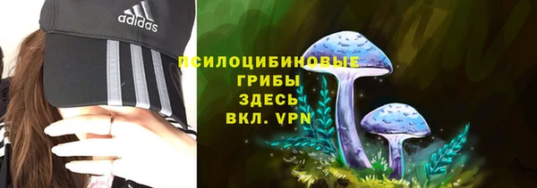 а пвп мука Абаза