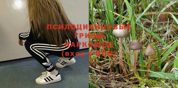а пвп мука Абаза